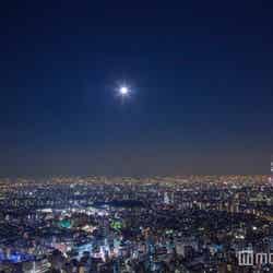 展望台からの夜景(※スーパームーンではありません)/画像提供:サンシャインシティ