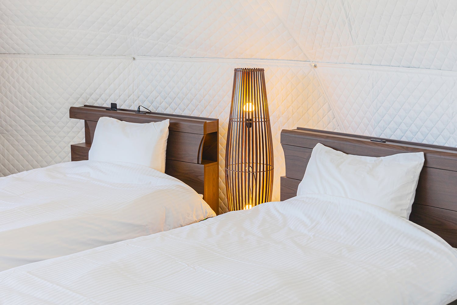 ほけだけグランピング～和泉の毬花～／提供画像