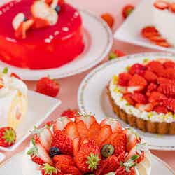IMAIHAMA STRAWBERRY GARDEN ~スイーツ&ランチブッフェ~/画像提供:東急ホテルズ