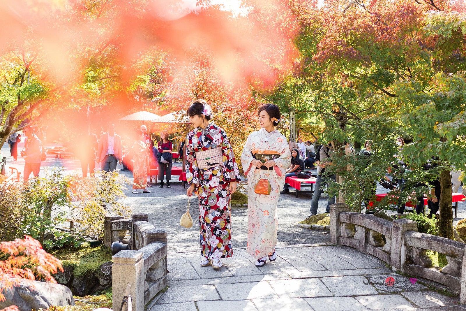 着物で京都散策 （写真提供：MBS）