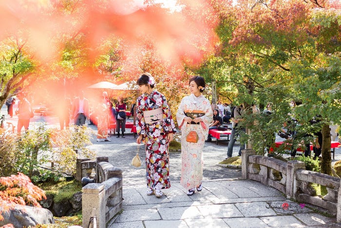 着物で京都散策 (写真提供:MBS)