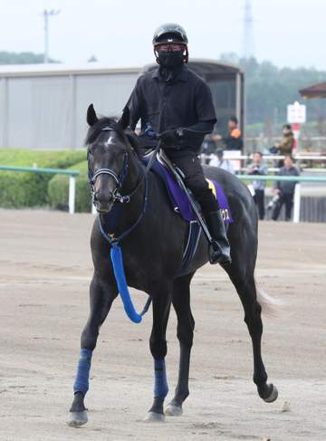 【日本ダービー】リアライズシリウスは6枠11番 手塚久師「ここなら競馬も組み立てやすいと思う」