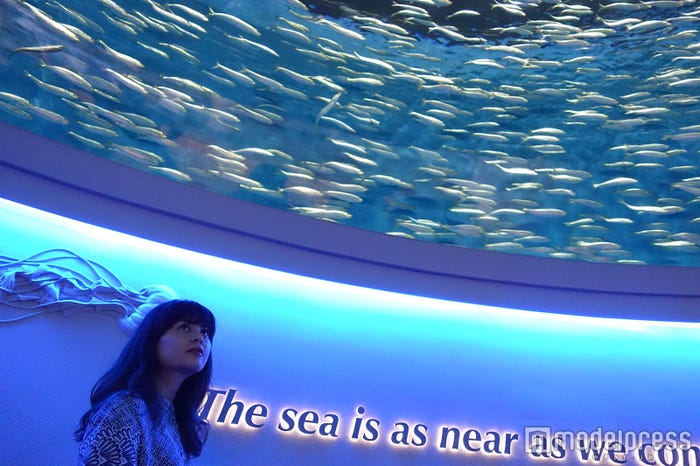 「モントレーベイ水族館」モデル:Amy(C)モデルプレス