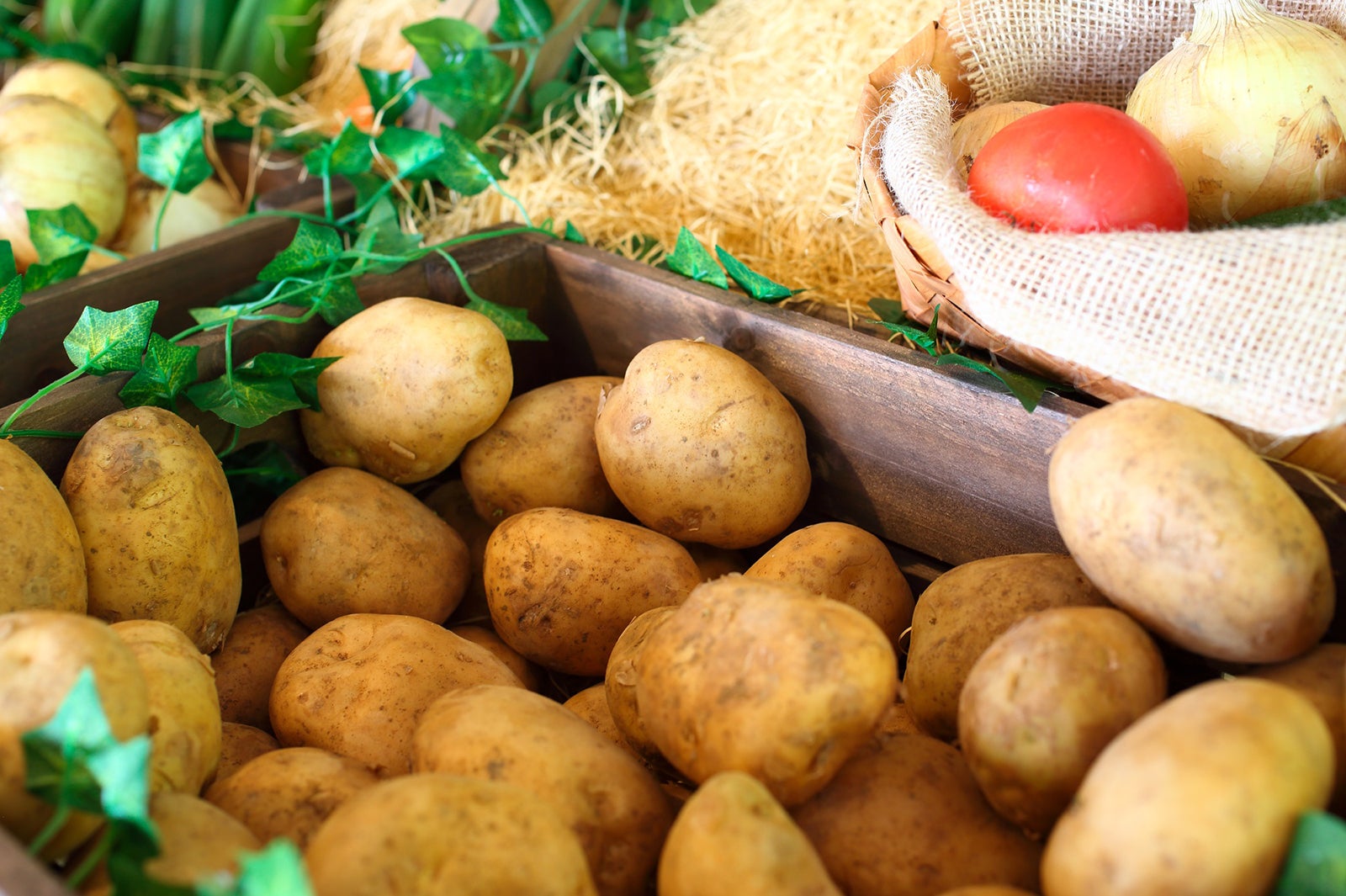 グランピングヴィレッジHAJIME／画像提供：マリントピアリゾート