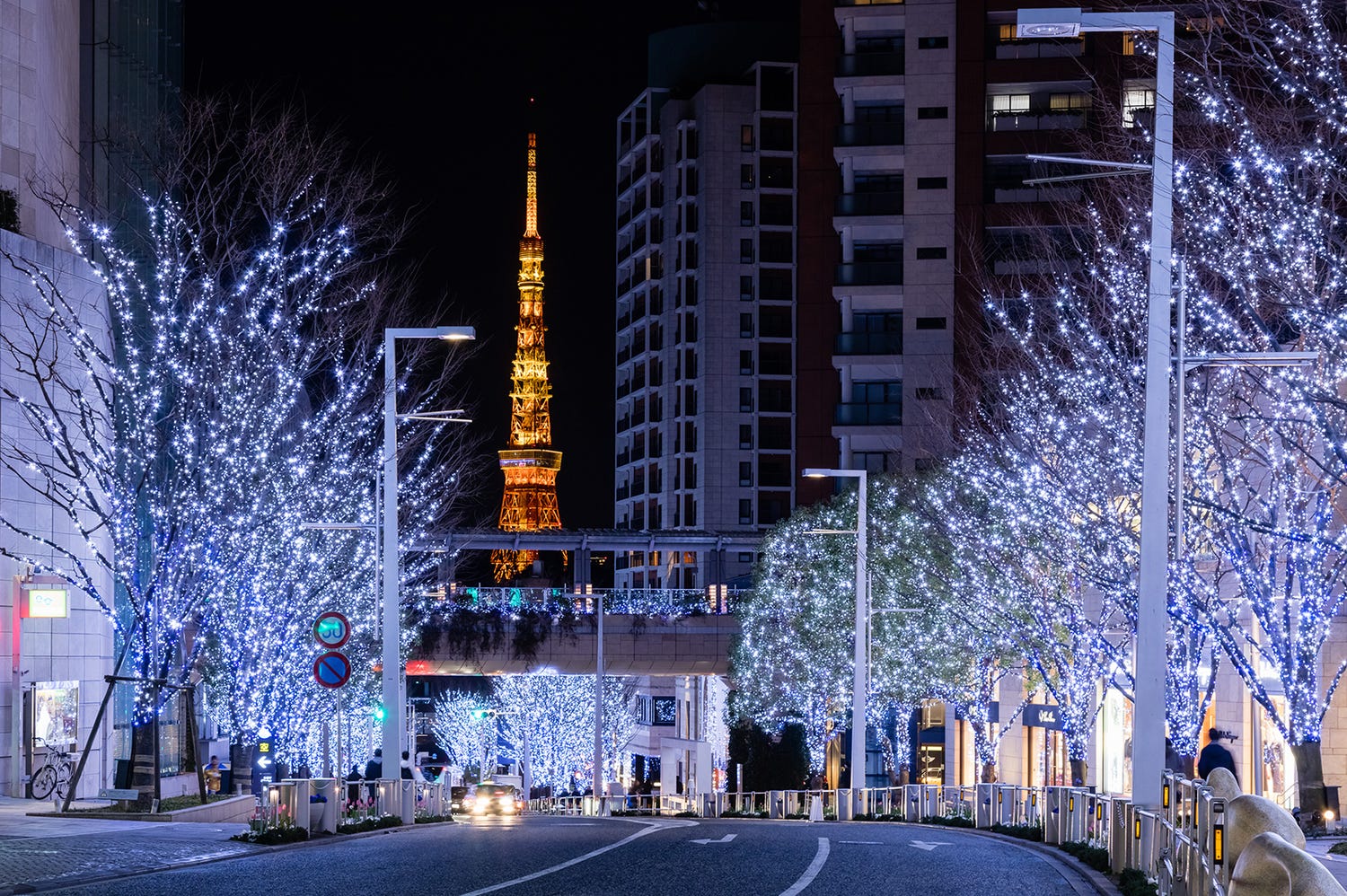 六本木ヒルズのクリスマス「Roppongi Hills Christmas 2020」寒色LED約70万灯の輝き