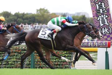 【新馬戦】ジョーティス 鼻差とらえた！デビュー星 ルメールが瞬発力評価「能力がありそう。距離はマイルがピッタリ」