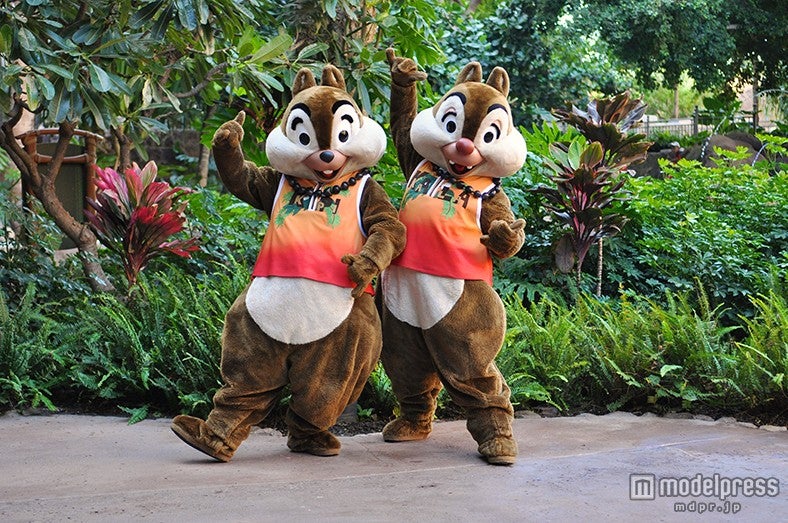 アウラニのチップ＆デール（C）Disney