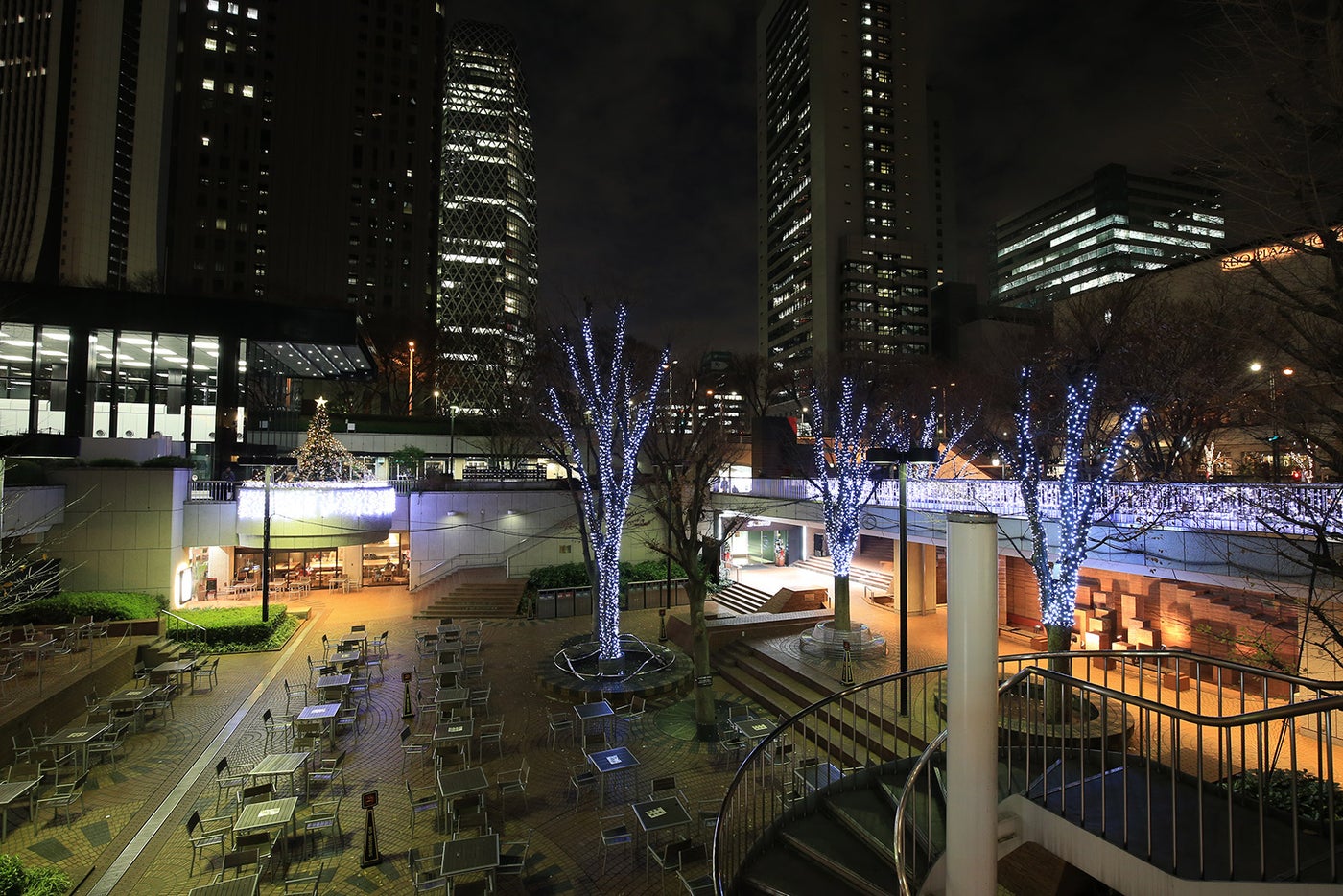 55HIROBA樹木イルミネーション／画像提供：西新宿街ぐるみプロジェクト