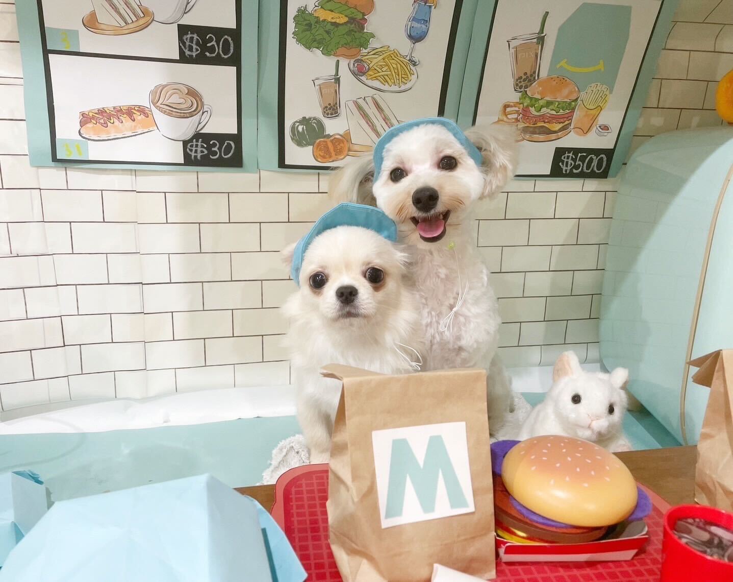 メルちゃんとポポちゃん（提供写真）