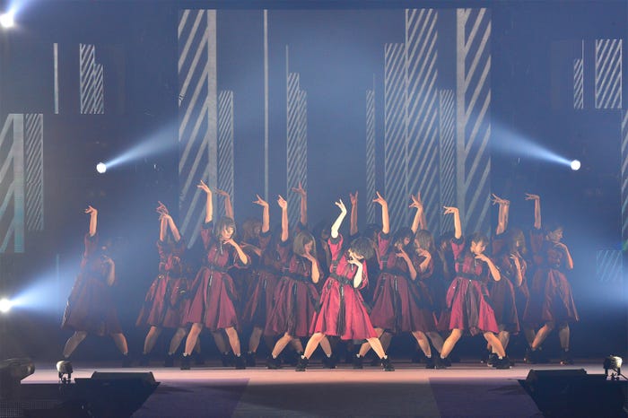 欅坂46(提供写真)