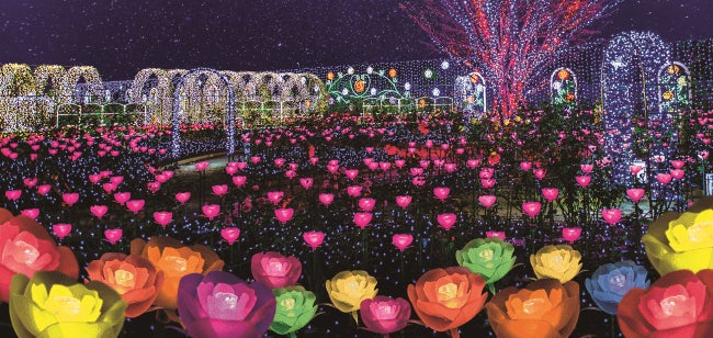 光のバラ園～ハピネスガーデン～ Flower Fantasy／画像提供：足利フラワーリゾート