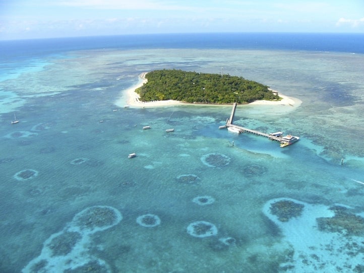 グレートバリアリーフ・グリーン島／画像提供：JTBワールドバケーションズ