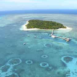 グレートバリアリーフ・グリーン島/画像提供:JTBワールドバケーションズ