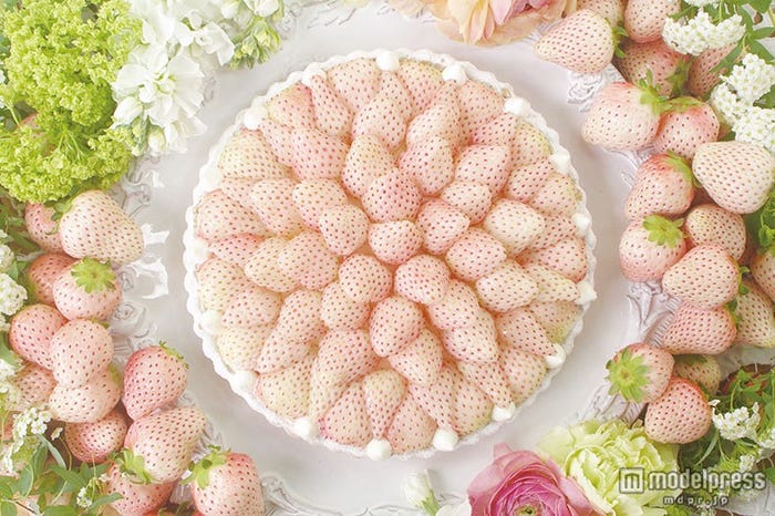 「特選 白イチゴ~初恋の香り~のタルト」<piece>1,630円(税込)、<whole(21cm)>12,420円(税込)