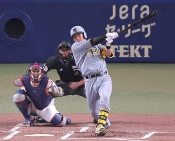 阪神・伏見が移籍後初安打 ベンチ前に多くの選手が飛び出しボールの返却求める 雰囲気の良さ伝わる光景