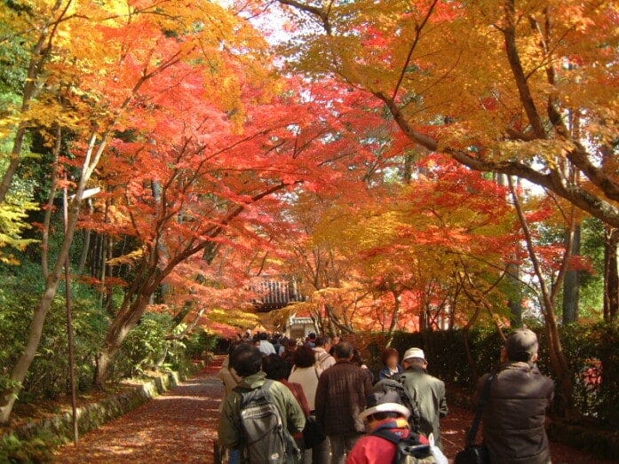 光明寺の紅葉（2008年11月29日撮影）