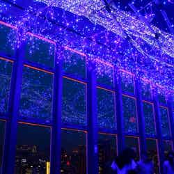 天の川イルミネーション／画像提供：東京タワー