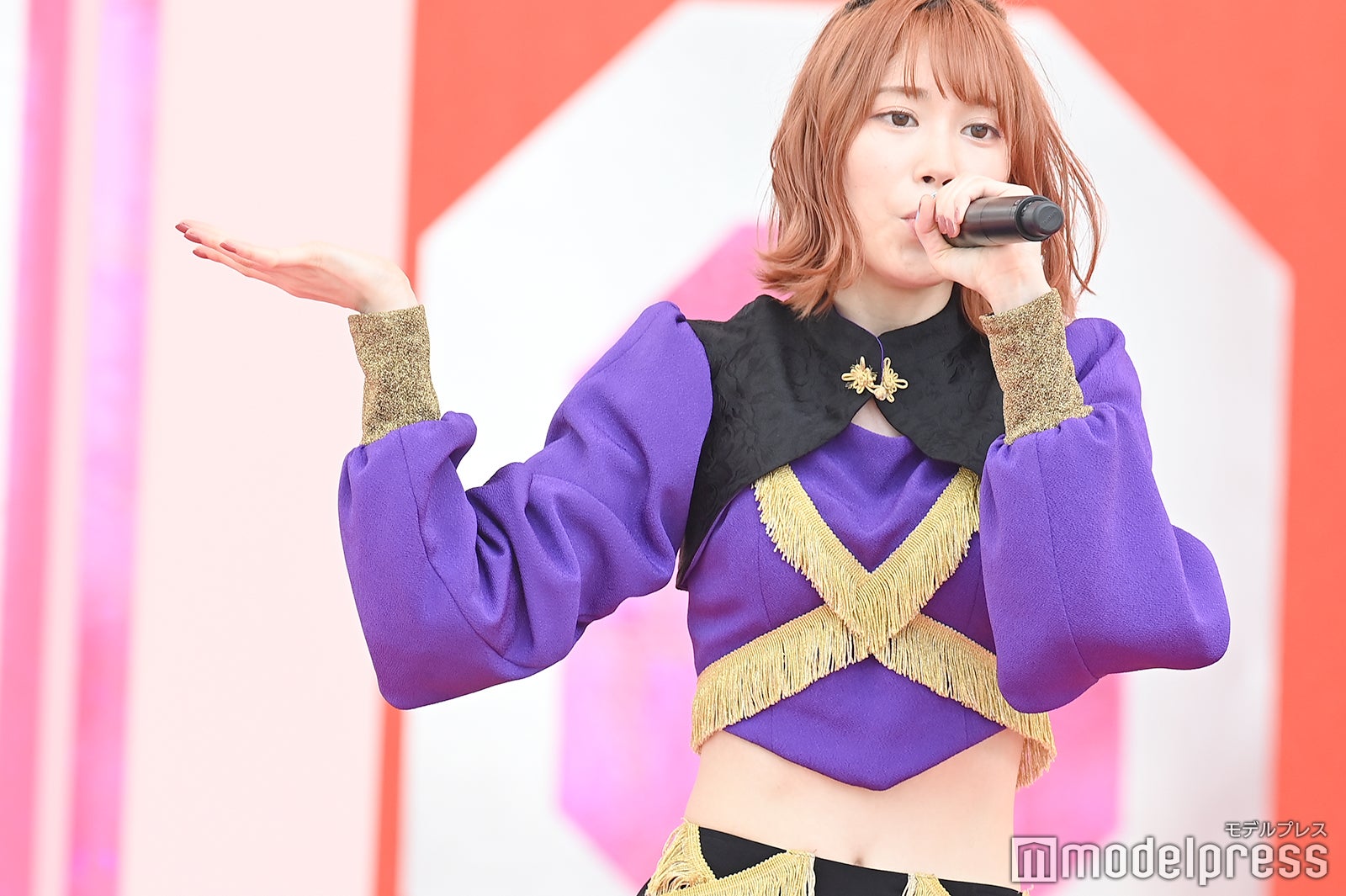 豆柴の大群（C）モデルプレス