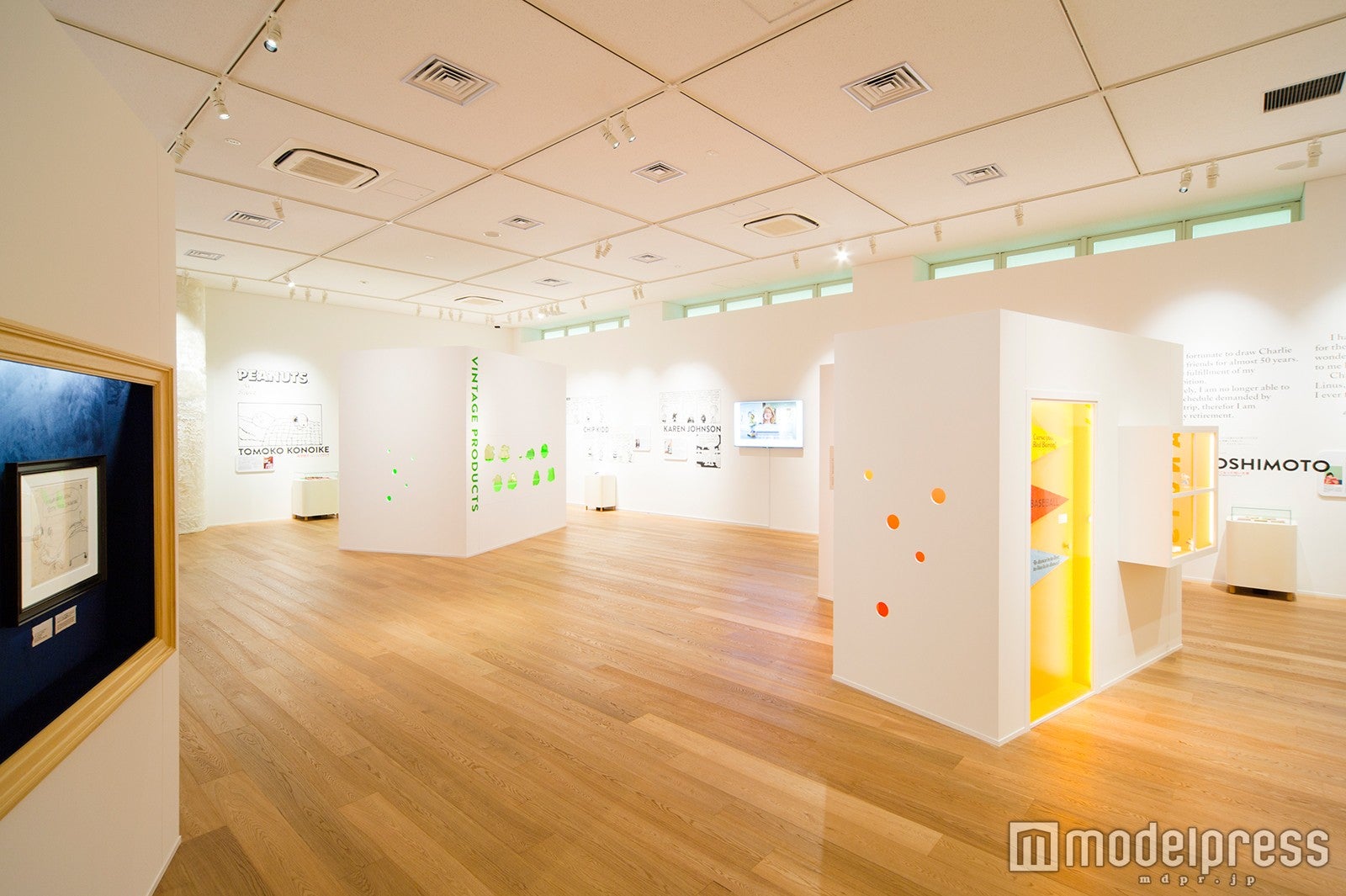 （C）Peanuts Worldwide LLC