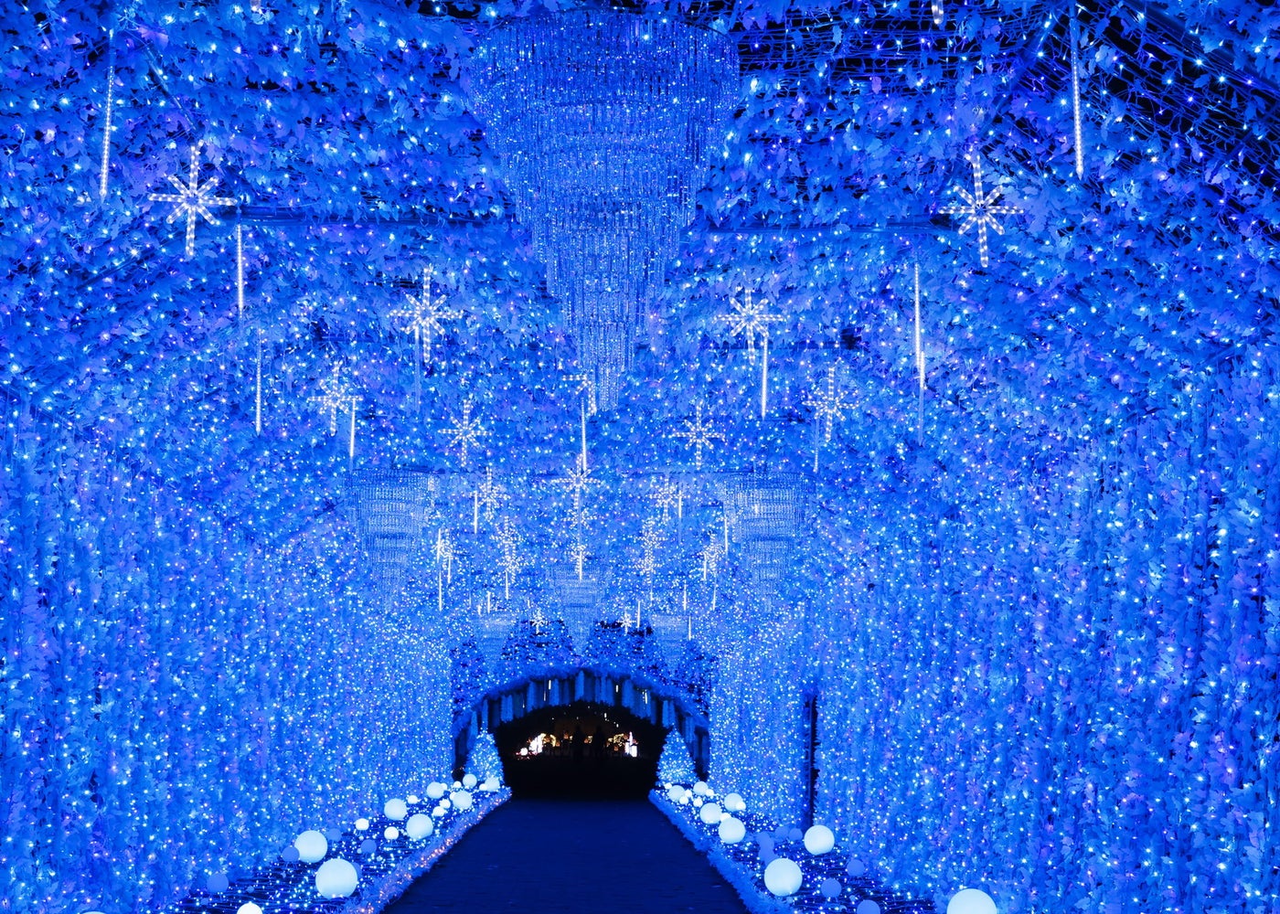 ひかりのすみか（提供写真）