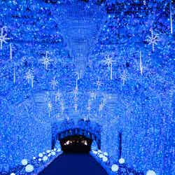 ひかりのすみか(提供写真)