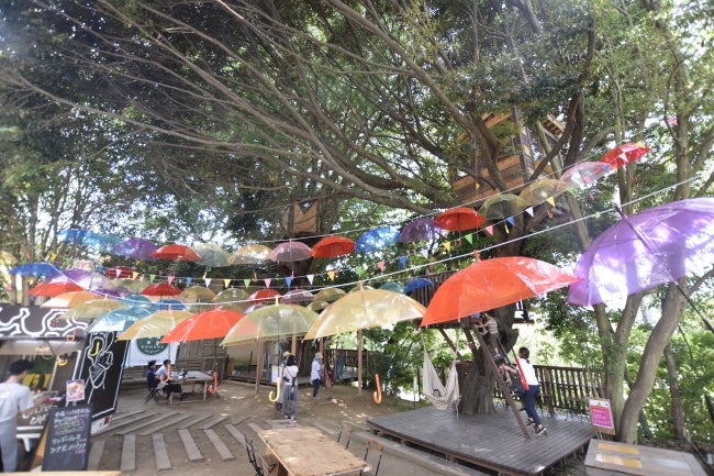 傘の森2016／画像提供：拓匠開発