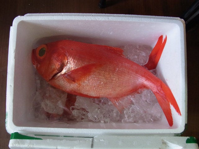 column_577903f1a5101b7cc35d6e2dcd16513c.