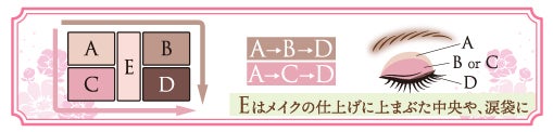 「パーフェクトスタイリストアイズ」使い方（画像提供：株式会社井田ラボラトリーズ）