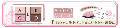 「パーフェクトスタイリストアイズ」使い方(画像提供:株式会社井田ラボラトリーズ)