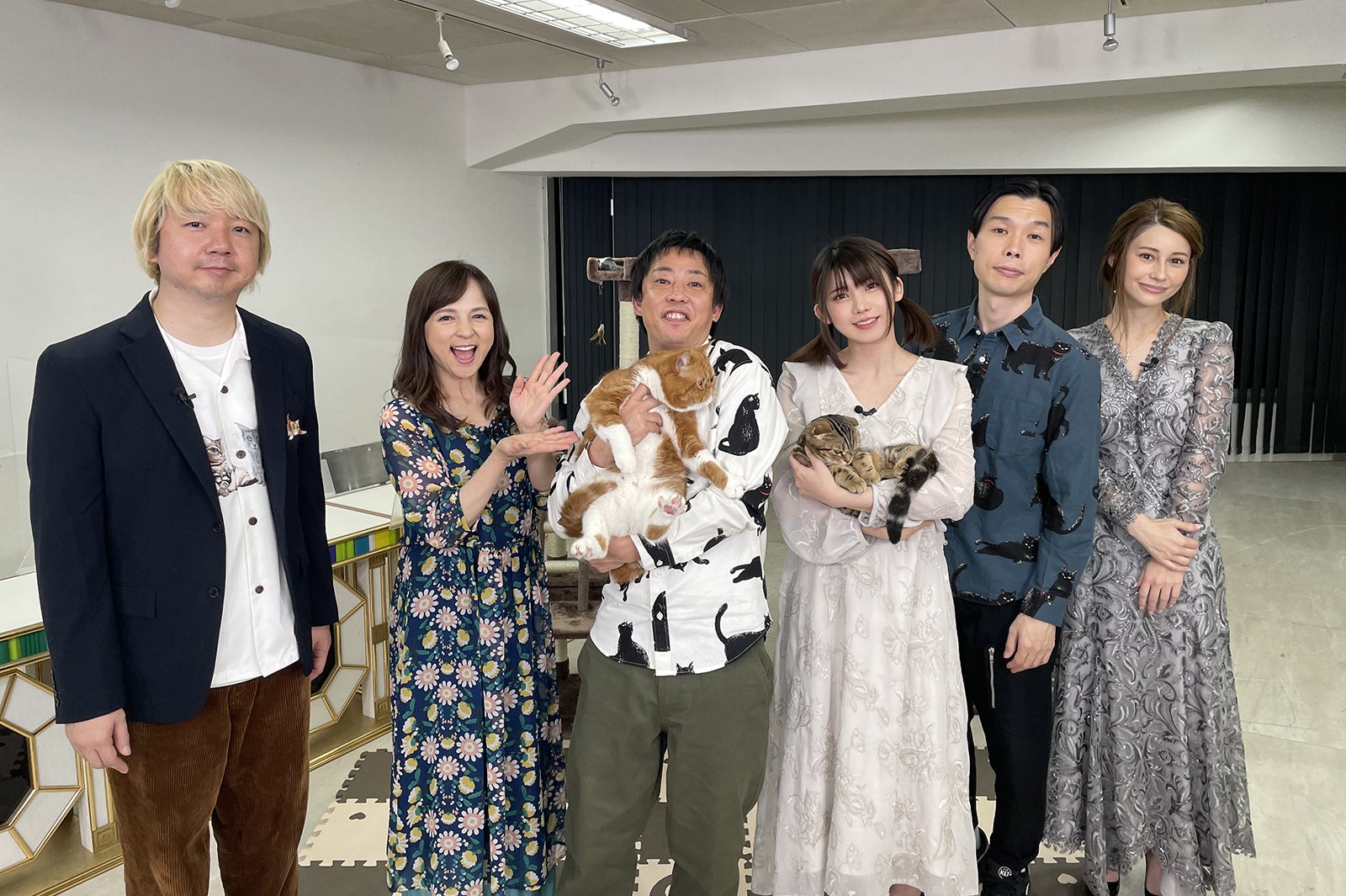 ミーグラム連携の地上波TV番組「猫しか勝たん」年始特番決定　えなこ・さらば森田・ハライチ岩井・三四郎相田・ダレノガレ明美・いとうまい子出演で“猫好き賞レース”開催