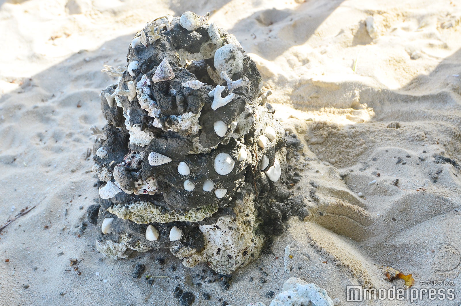 シャングリ・ラ・ヤヌザ・アイランド・フィジー（C）モデルプレス