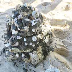 シャングリ・ラ・ヤヌザ・アイランド・フィジー(C)モデルプレス