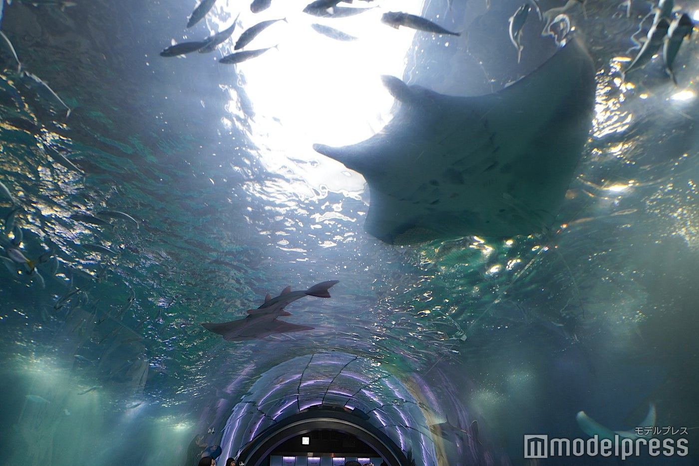 品川プリンスホテル（C）モデルプレス