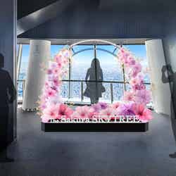 主なフォトスポット/空に包む(C)TOKYO-SKYTREE