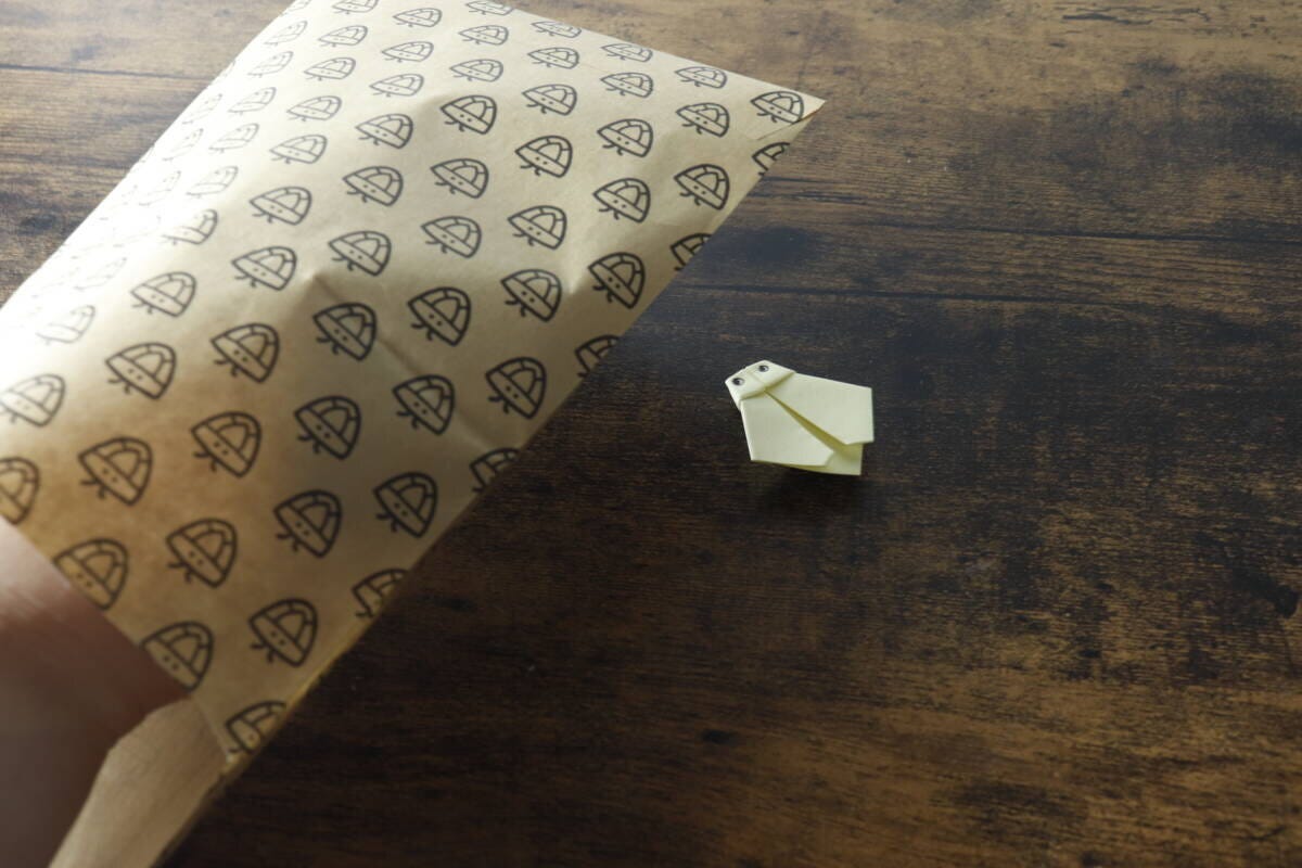 カメムシキャッチャーの茶色い封筒の横に、折り紙で作られたカメムシが置かれている カメムシキャッチャーの茶色い封筒の横に、折り紙で作られたカメムシが置かれている