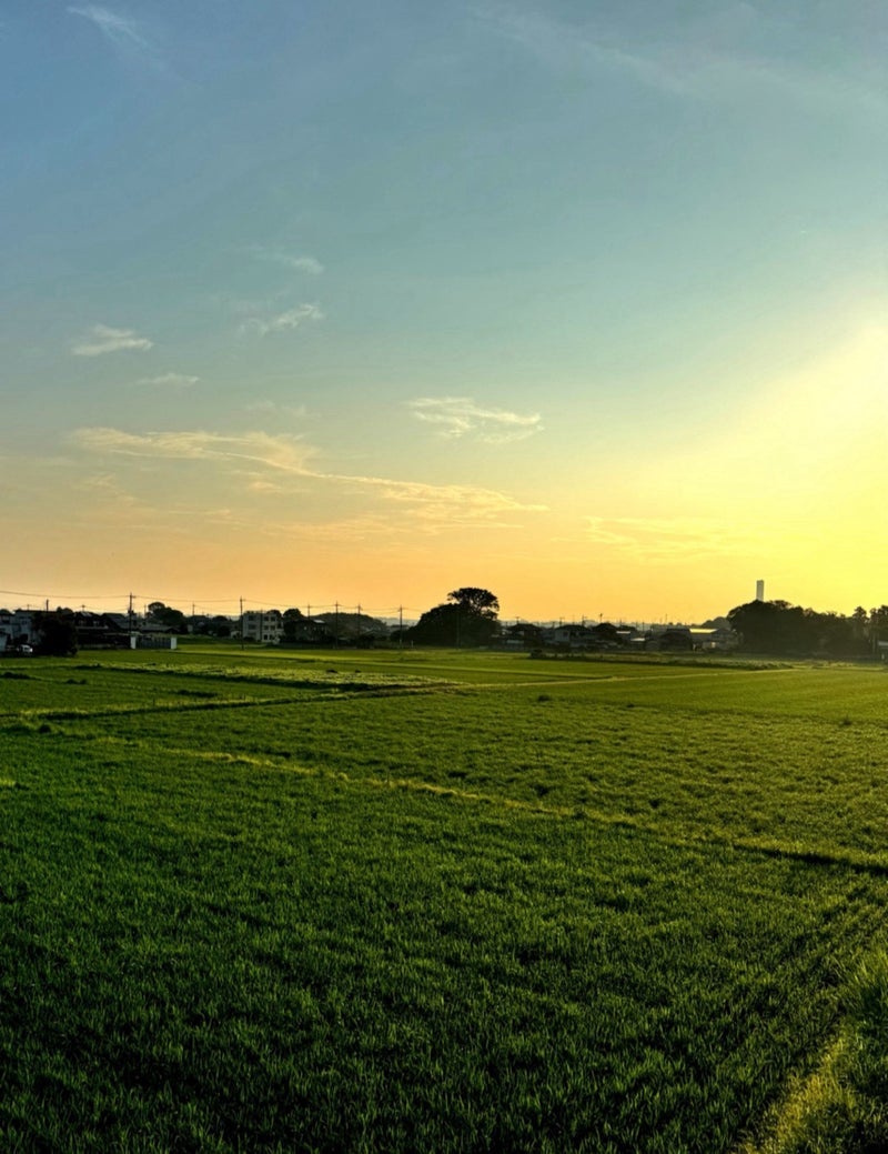 北斗晶公式ブログより