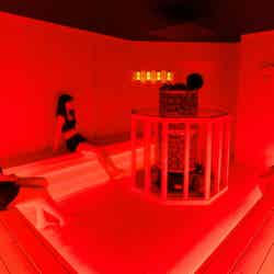 チームラボリコネクト:アートとサウナ 六本木/画像提供:チームラボ