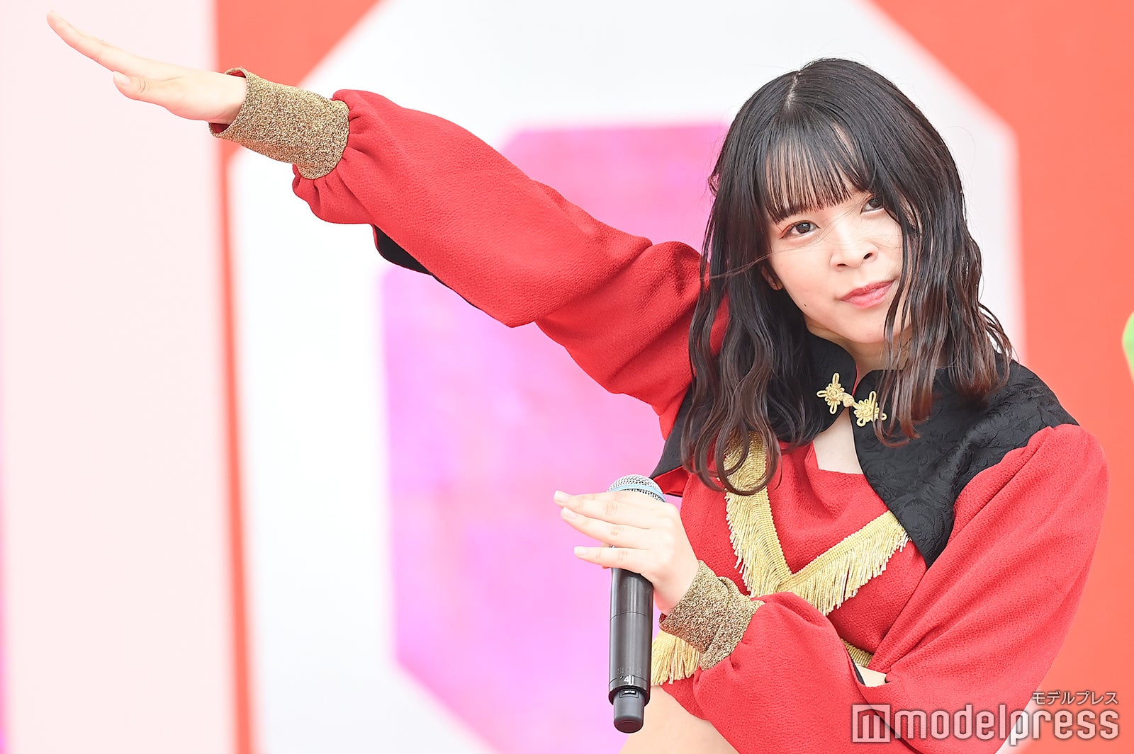 豆柴の大群（C）モデルプレス