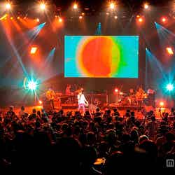 「BONNIE PINK 20th Anniversary Live “Glorious Kitchen”」／撮影：渡邉 一生
