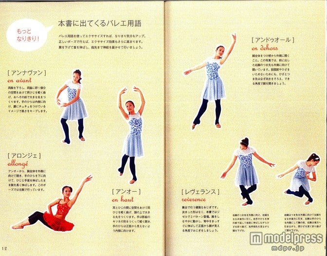 DVDを見た後に、本でポイントをチェック