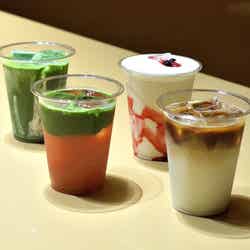 ダコー?駒沢/提供画像