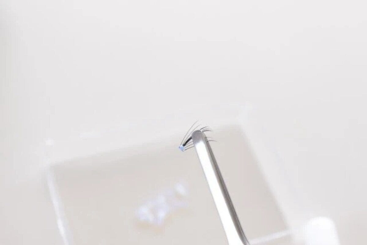 ダイソー 部分用アイラッシュ ダイソー 部分用アイラッシュ