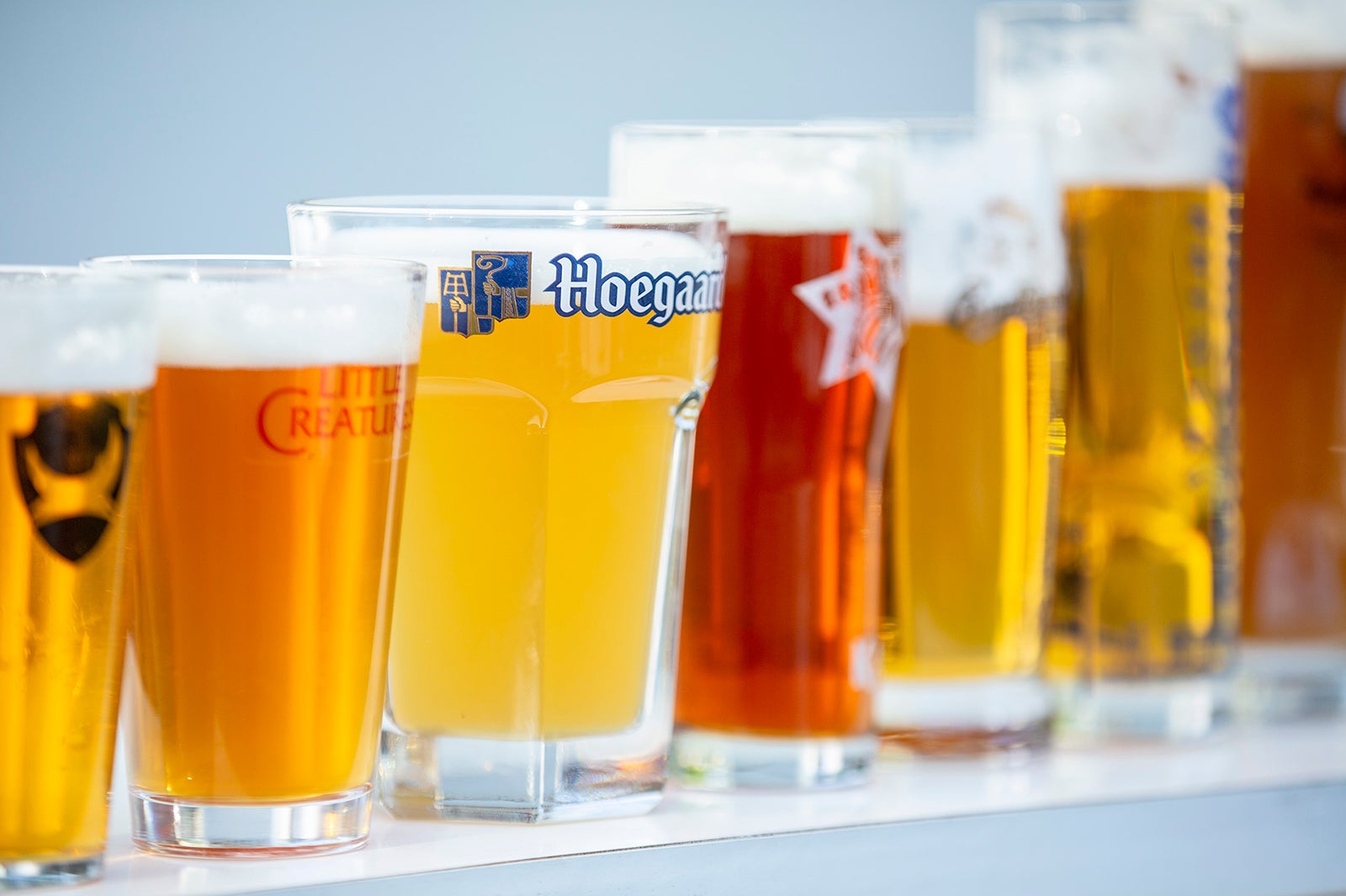 クリスマスガーデン／画像提供：ヒビヤガーデン実行委員会