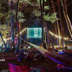 夜空と交差する森の映画祭／提供画像