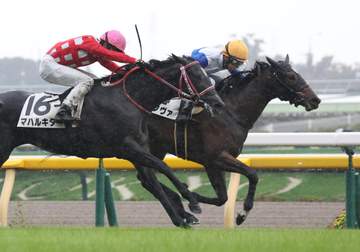 【新馬戦】リラノヴァ 鼻差制したデビュー星 横山和は課題指摘「気性的に成長すれば。雨はプラスになった」