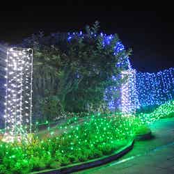 白色の柱で人、緑色のラインで人の歩みを表現/画像提供:国営讃岐まんのう公園