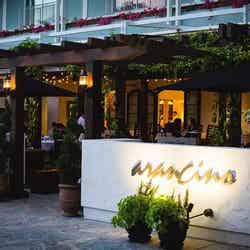 Arancino/画像提供:イデア