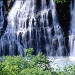 白ひげの滝/画像提供:美瑛町観光協会