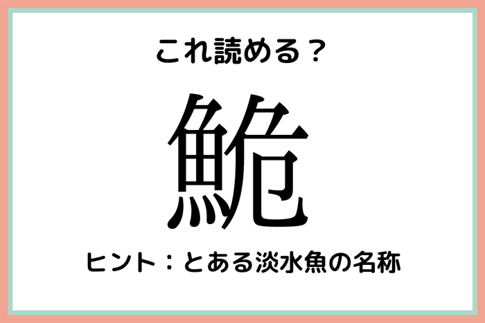 鮠 って何て読むっけ 読めたらスゴイ 難読漢字 魚編 モデルプレス