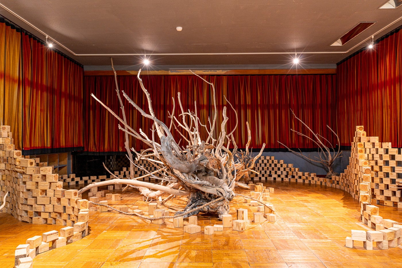 那須ユートピア／画像提供：那須スポーツガーデン